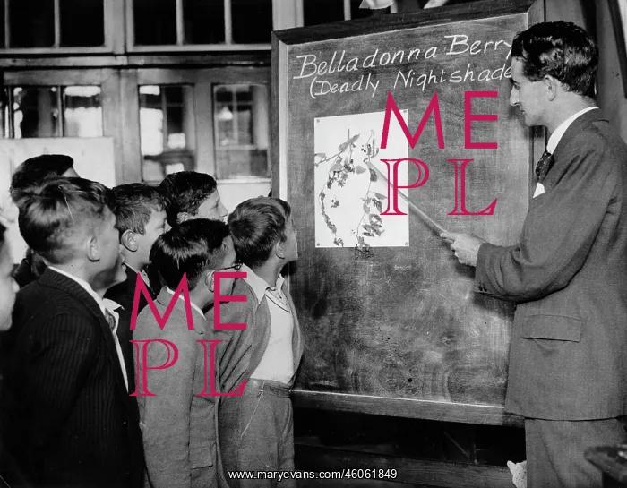 : School children learning : School children learning