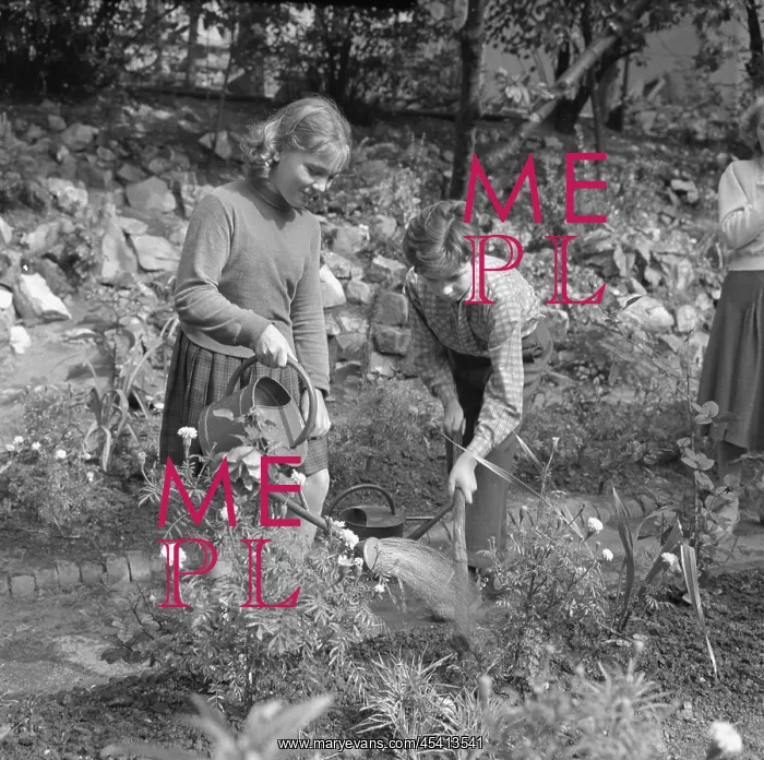 : School children - plant watering : School children - plant watering