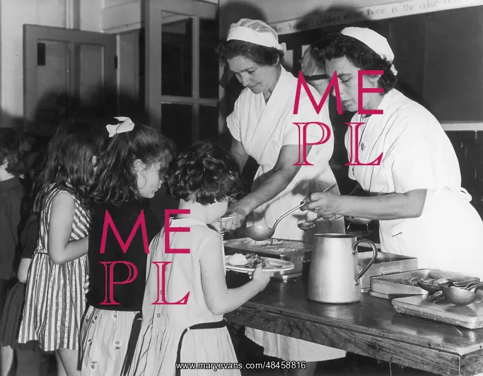 : SCHOOL DINNERS : SCHOOL DINNERS