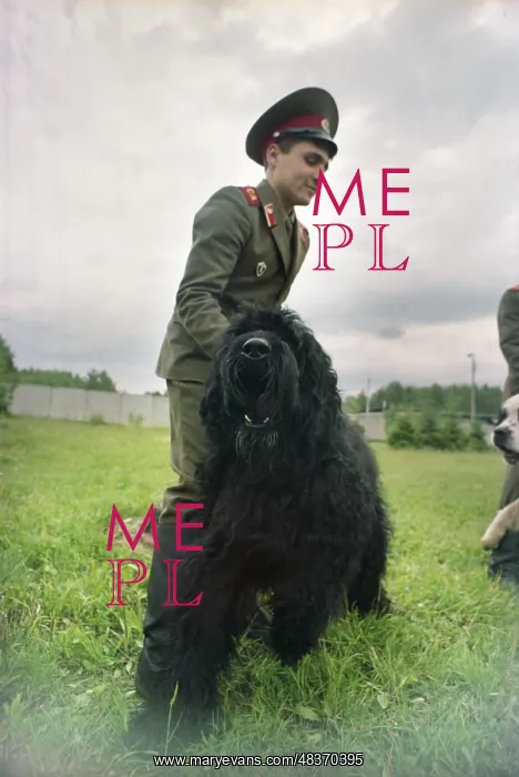 : School of dog breeding specialists of Defense : School of dog breeding specialists of Defense