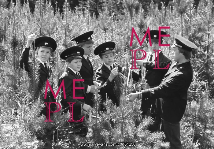 : School forestry : School forestry