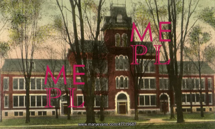 : School House. Napoleon : School House. Napoleon