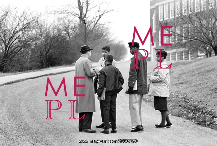 : School integration - civil rights - racial integration : School integration - civil rights - racial integration