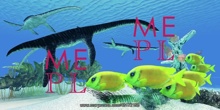: A school of Lemonpeel Angelfish swim by Plesiosaurus ? : A school of Lemonpeel Angelfish swim by Plesiosaurus ?