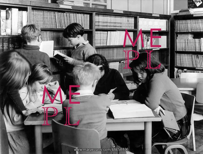 : SCHOOL LIBRARY : SCHOOL LIBRARY