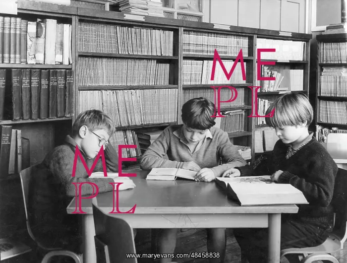 : SCHOOL LIBRARY : SCHOOL LIBRARY