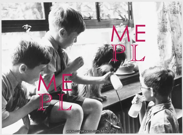 : SCHOOL MILK / BOYS / DOG : SCHOOL MILK / BOYS / DOG