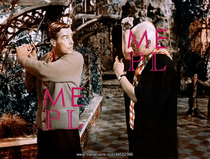 : School For Scoundrels (1960) : School For Scoundrels (1960)