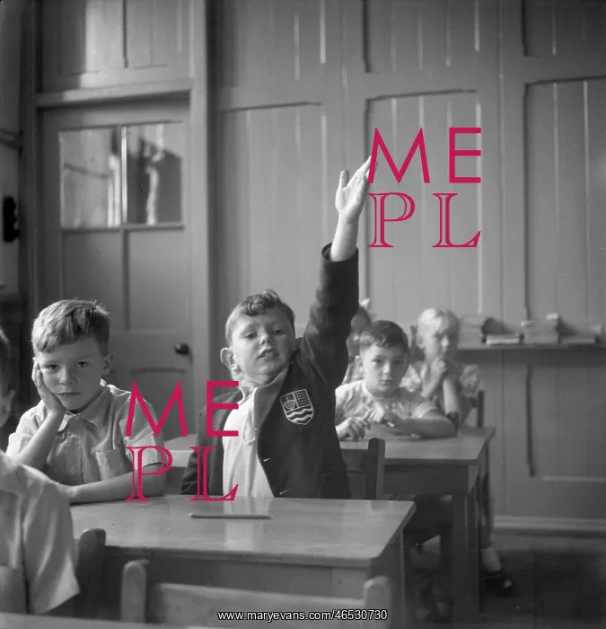: Schoolboy raises his hand : Schoolboy raises his hand
