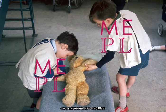 : Two schoolboys give first aid to a teddy bear : Two schoolboys give first aid to a teddy bear