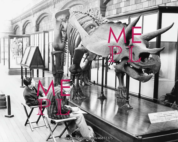 : Schoolboys sketching dinosaur skeleton : Schoolboys sketching dinosaur skeleton