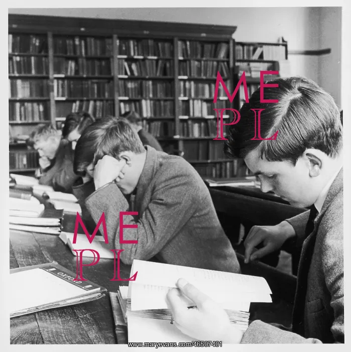 : Schoolboys studying in school library : Schoolboys studying in school library