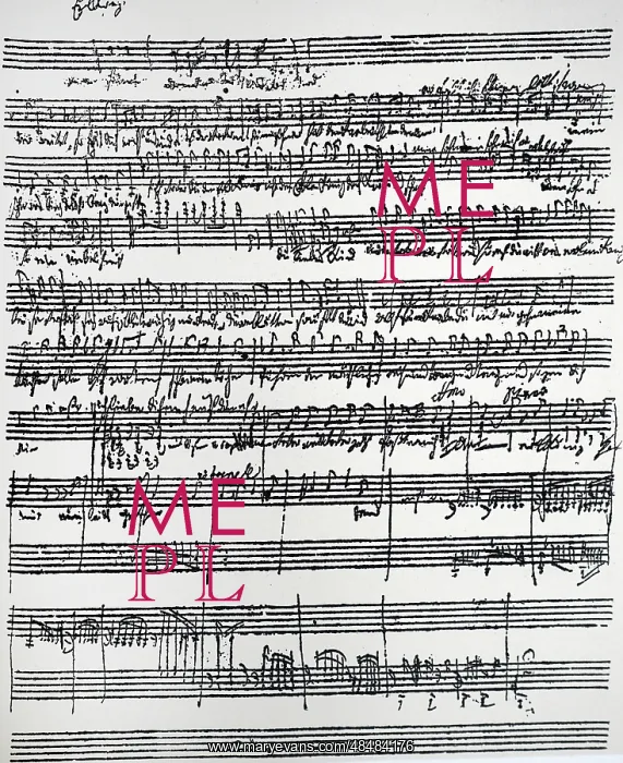 : Schubert's autograph of a simplified accompaniment : Schubert's autograph of a simplified accompaniment