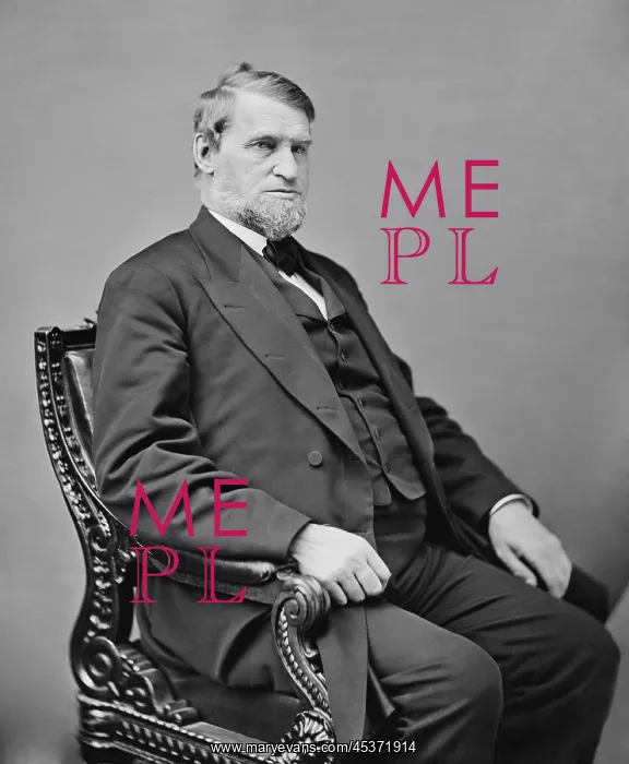 : Schuyler Colfax was Vice President in the : Schuyler Colfax was Vice President in the