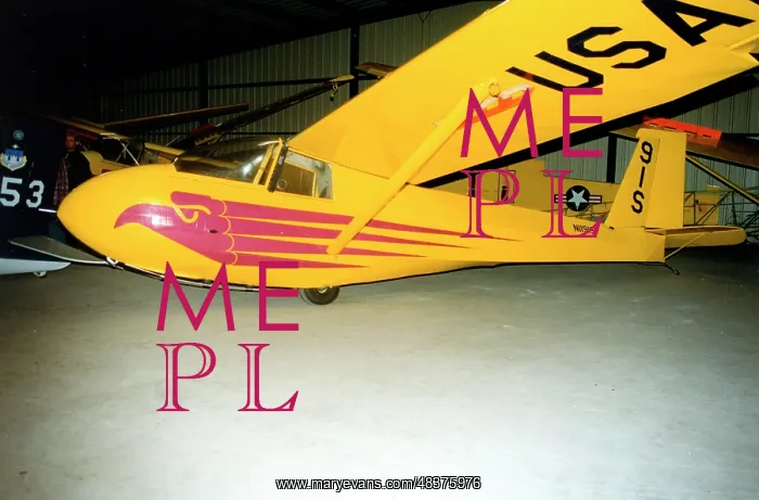 : Schweizer SGS 2-33 N1191S : Schweizer SGS 2-33 N1191S