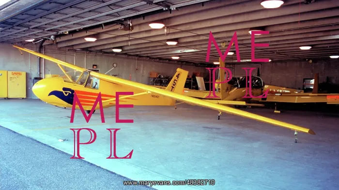 : Schweizer SGS 2-33A N2045T : Schweizer SGS 2-33A N2045T