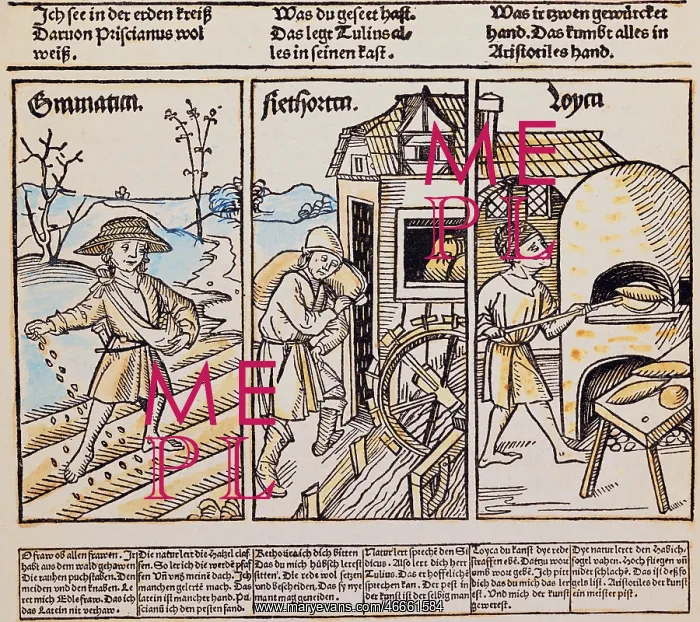 : science, allegories, grammar as sower, rhetrorics : science, allegories, grammar as sower, rhetrorics