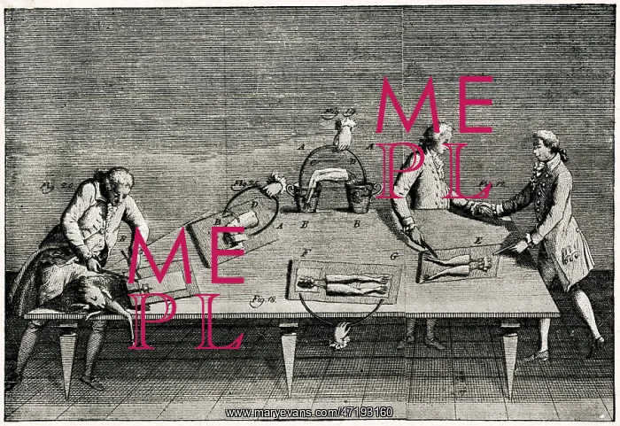  : SCIENCE / GALVANI / ELECTRIC