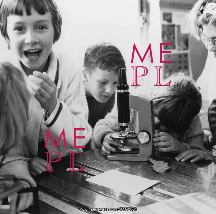 : SCIENCE LESSON : SCIENCE LESSON
