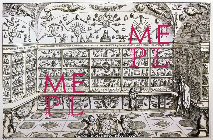 : science, museums, Museum Cospino, copper engraving : science, museums, Museum Cospino, copper engraving