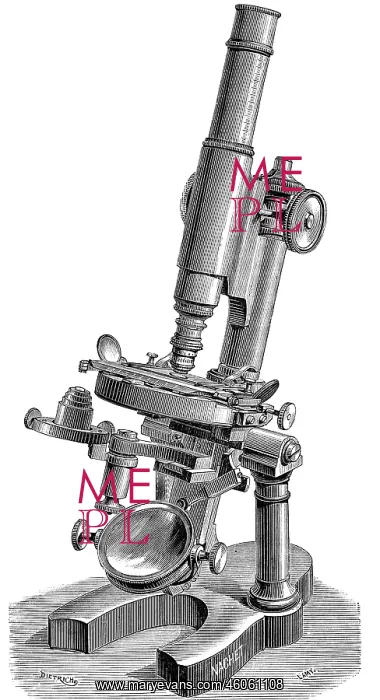 : science, optics, microscope, wood engraving : science, optics, microscope, wood engraving