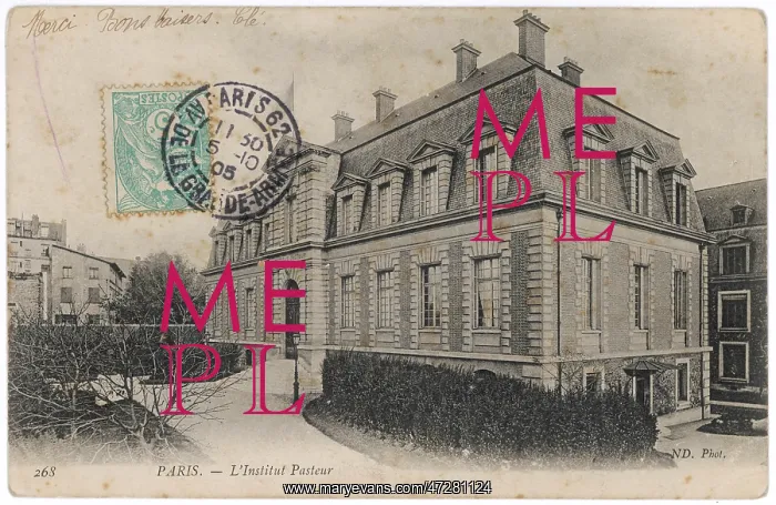 : SCIENCE / PASTEUR / INSTITUT : SCIENCE / PASTEUR / INSTITUT