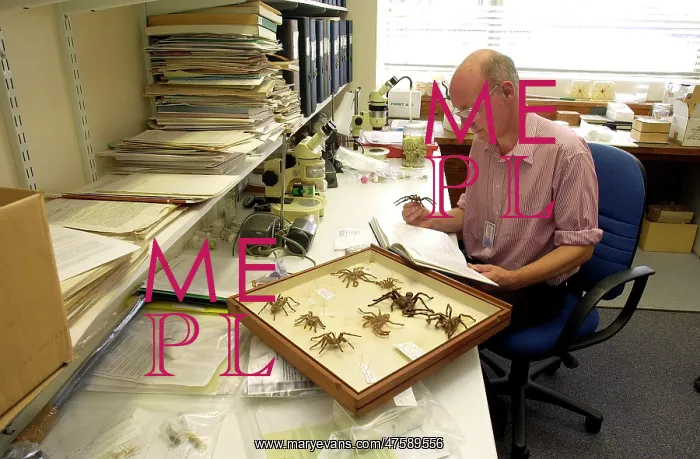 : Scientist identifying specimens : Scientist identifying specimens