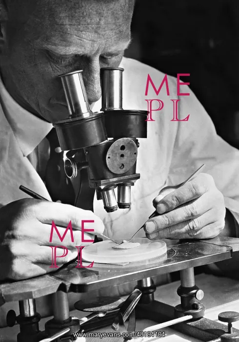 : Scientist at the microscope : Scientist at the microscope