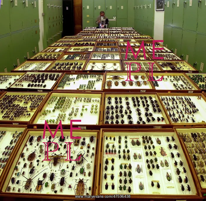 : Scientist at work : Scientist at work