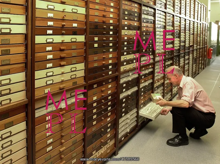 : Scientist working in Entomology Department : Scientist working in Entomology Department