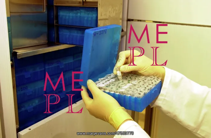 : Scientist working with tissue collection : Scientist working with tissue collection