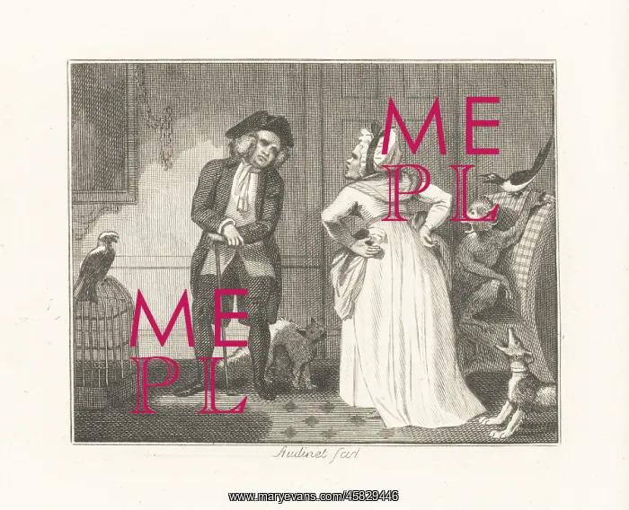 : The Scold and the Parrot : The Scold and the Parrot