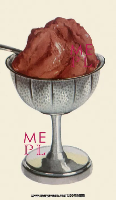 : Scoop of Chocolate Ice Cream : Scoop of Chocolate Ice Cream