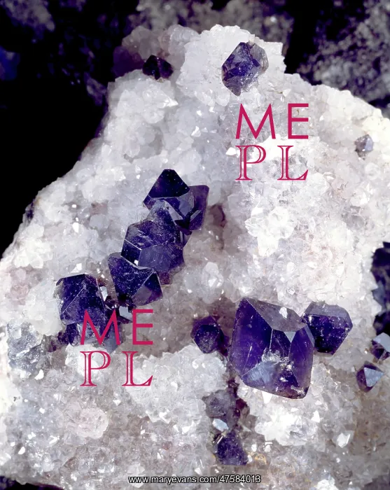 : Scorodite comprises of (hydrated zinc arsenate) : Scorodite comprises of (hydrated zinc arsenate)