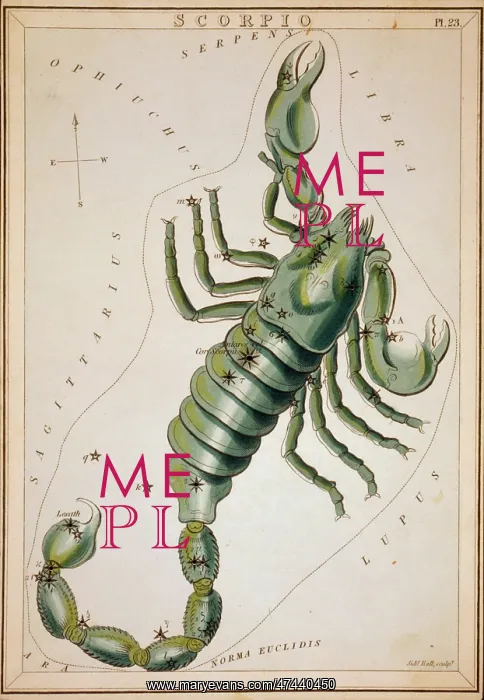 : Scorpio. Astronomical chart showing a scorpion forming the constellation. Date 1825 : Scorpio. Astronomical chart showing a scorpion forming the constellation. Date 1825