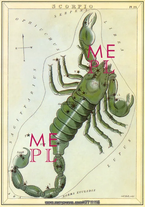 : Scorpio, the Scorpion : Scorpio, the Scorpion