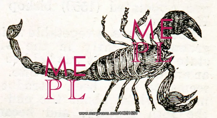  : Scorpion