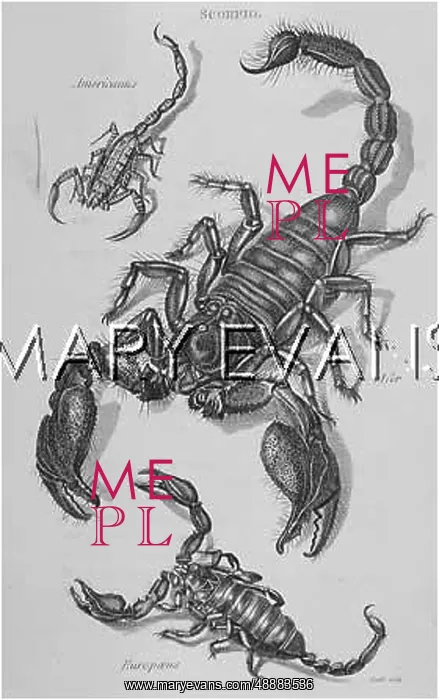 : THREE SCORPIONS : THREE SCORPIONS