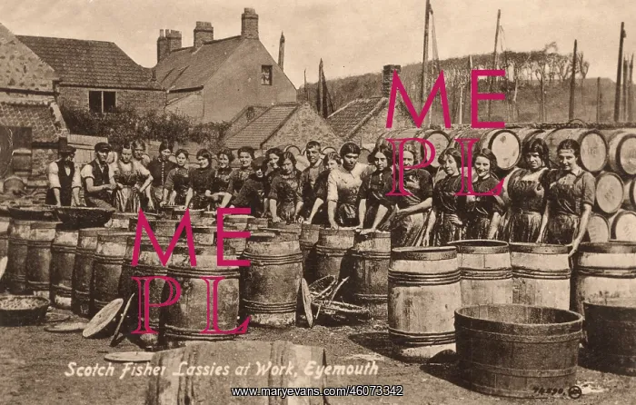 : Scotch Fishwives at work - Eyemouth : Scotch Fishwives at work - Eyemouth