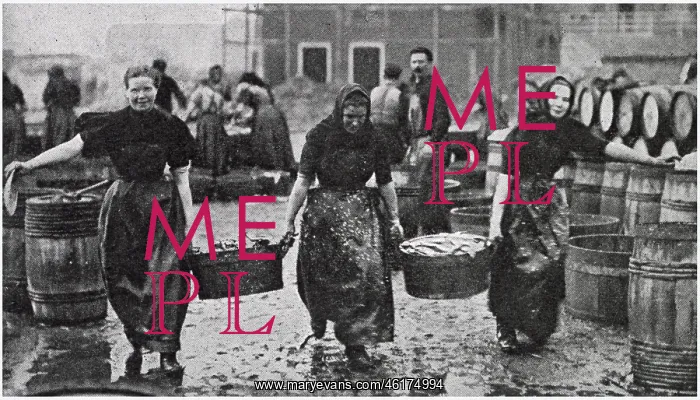 : Scotch Herring Women Workers 1902 : Scotch Herring Women Workers 1902