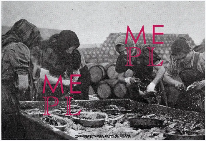 : Scotch Herring Women Workers 1902 : Scotch Herring Women Workers 1902