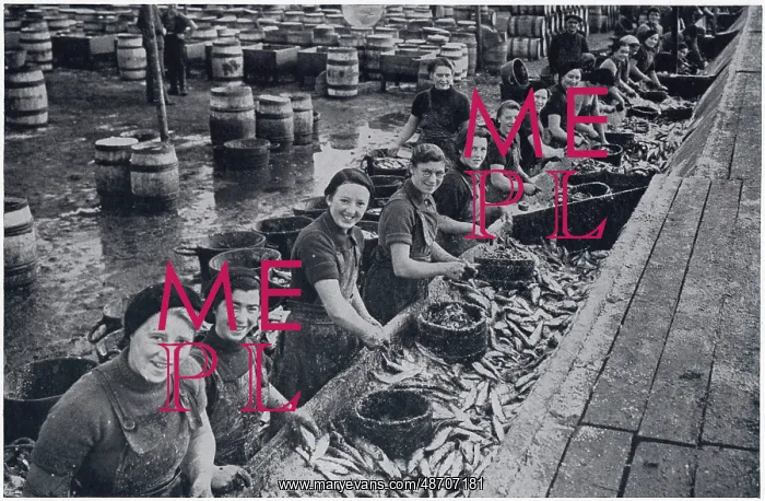 : Scotch Herring Women Workers in Lowestoft 1937 : Scotch Herring Women Workers in Lowestoft 1937
