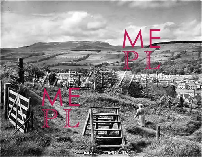 : SCOTLAND / DINGWALL : SCOTLAND / DINGWALL