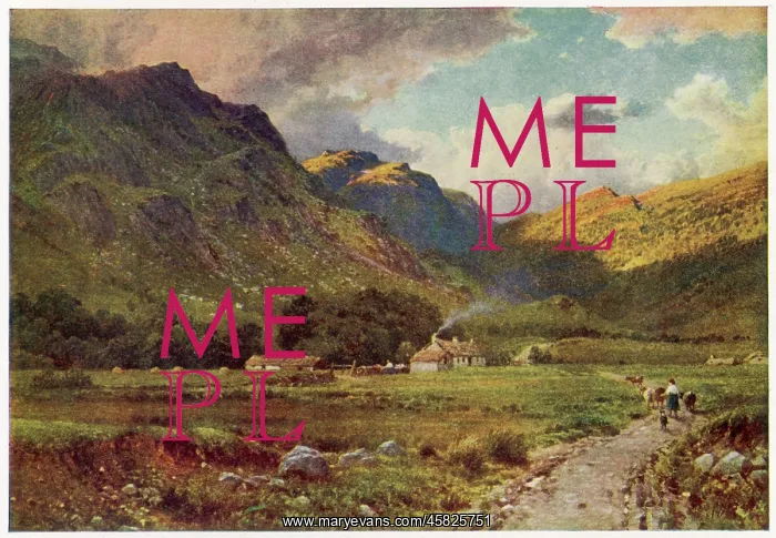  : SCOTLAND / GLEN NEVIS COT