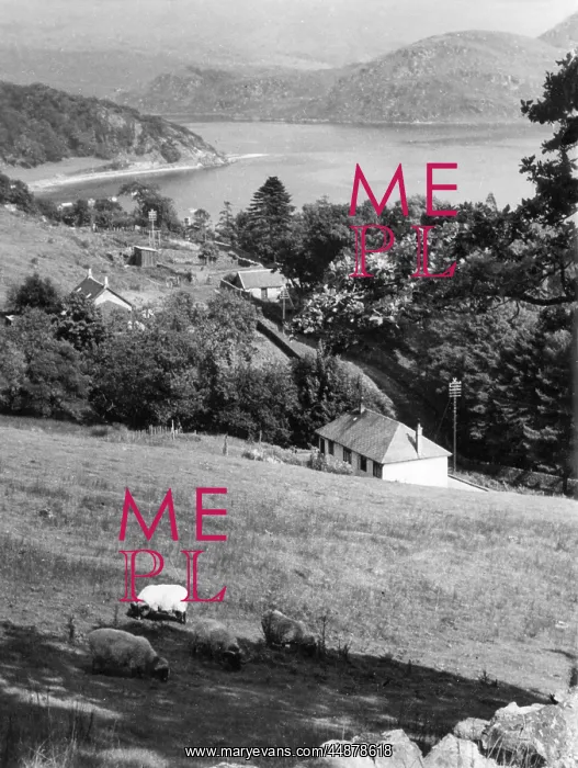 : SCOTLAND / LOCH FYNE : SCOTLAND / LOCH FYNE