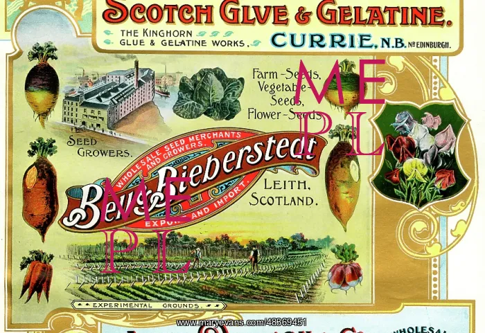 : Scotland's Industrial Souvenir : Scotland's Industrial Souvenir