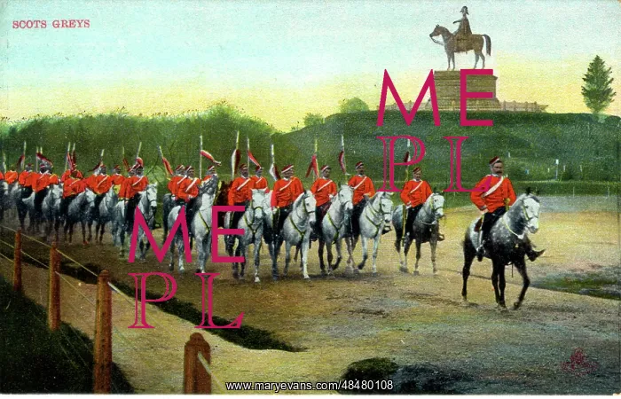  : Scots Greys