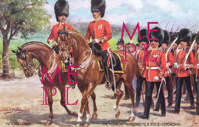 : The Scots Guards marching to a State Ceremonial : The Scots Guards marching to a State Ceremonial