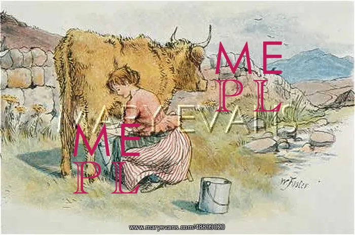  : SCOTS LASS MILKING