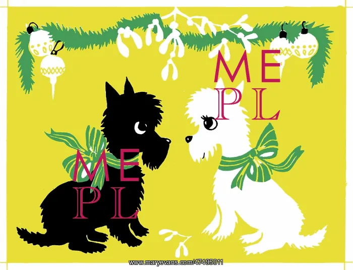 : Two Scottie dogs under mistletoe : Two Scottie dogs under mistletoe